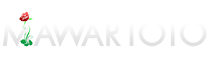 EVOSTOTO